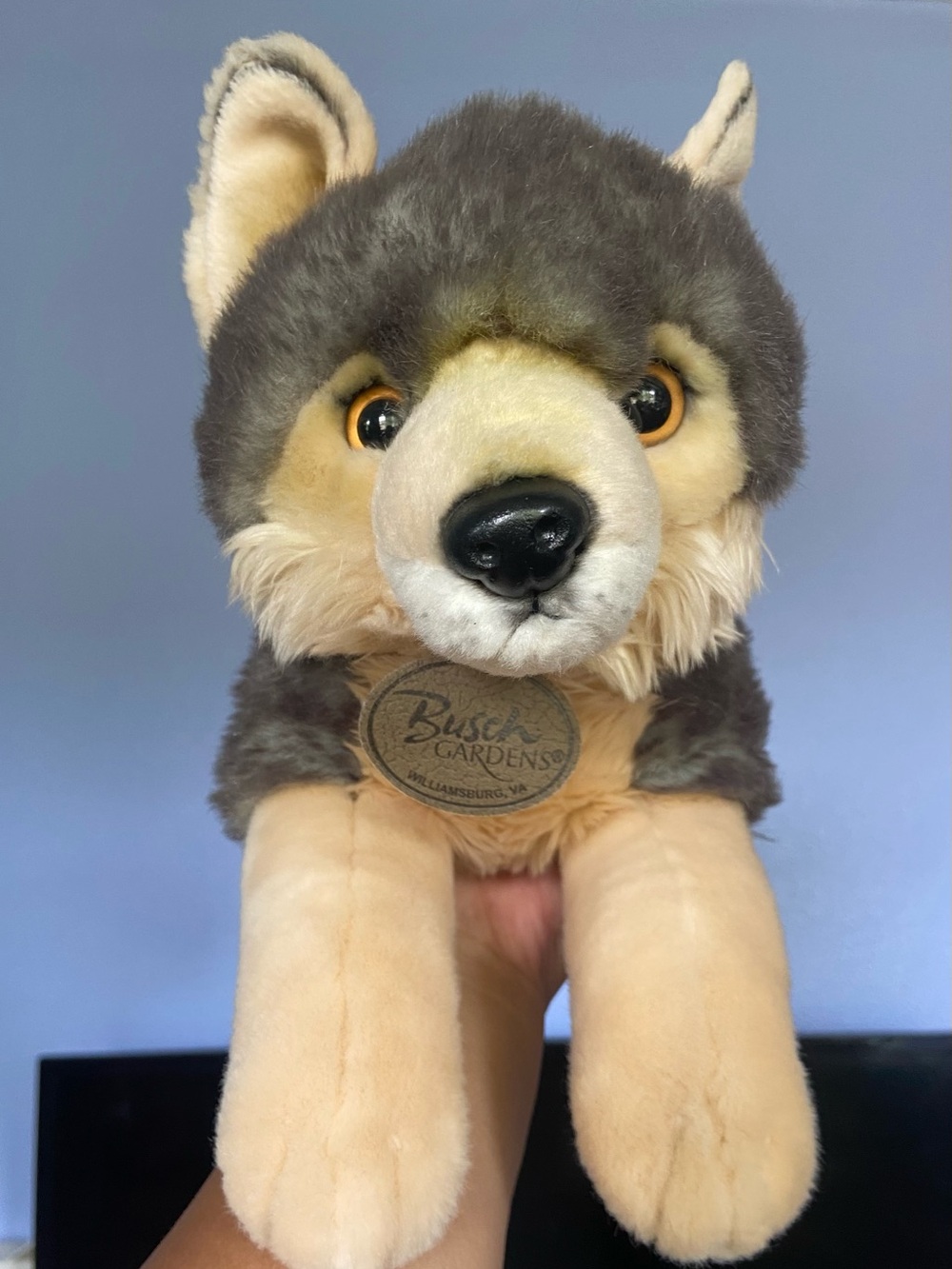 BUSCH GARDENS Gray Aurora World MIYONI The Wolf Plushy 19in.